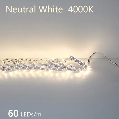 2835 LED Light Strip Flexible 12V/24V