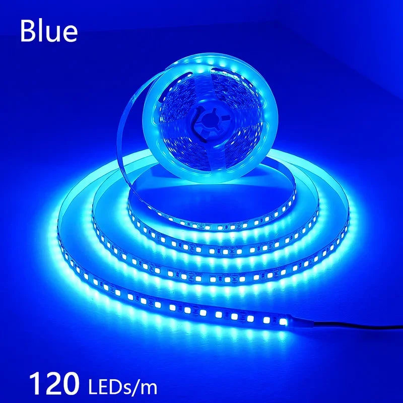 2835 LED Light Strip Flexible 12V/24V