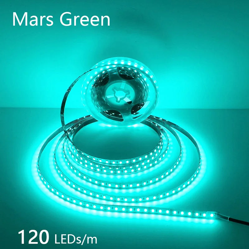 2835 LED Light Strip Flexible 12V/24V