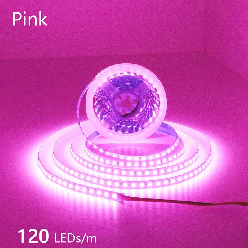 2835 LED Light Strip Flexible 12V/24V