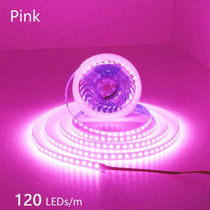 2835 LED Light Strip Flexible 12V/24V