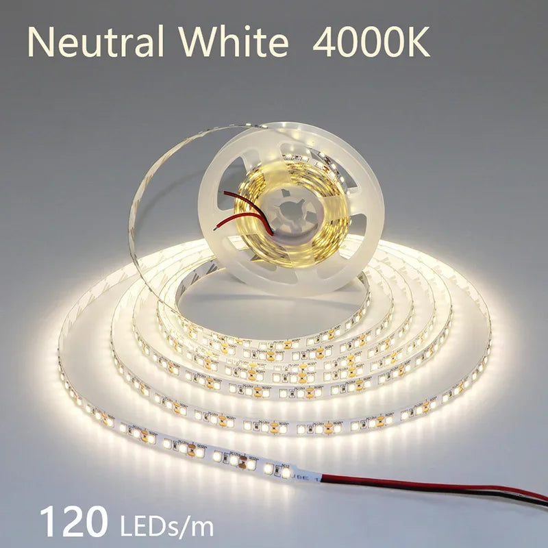 2835 LED Light Strip Flexible 12V/24V
