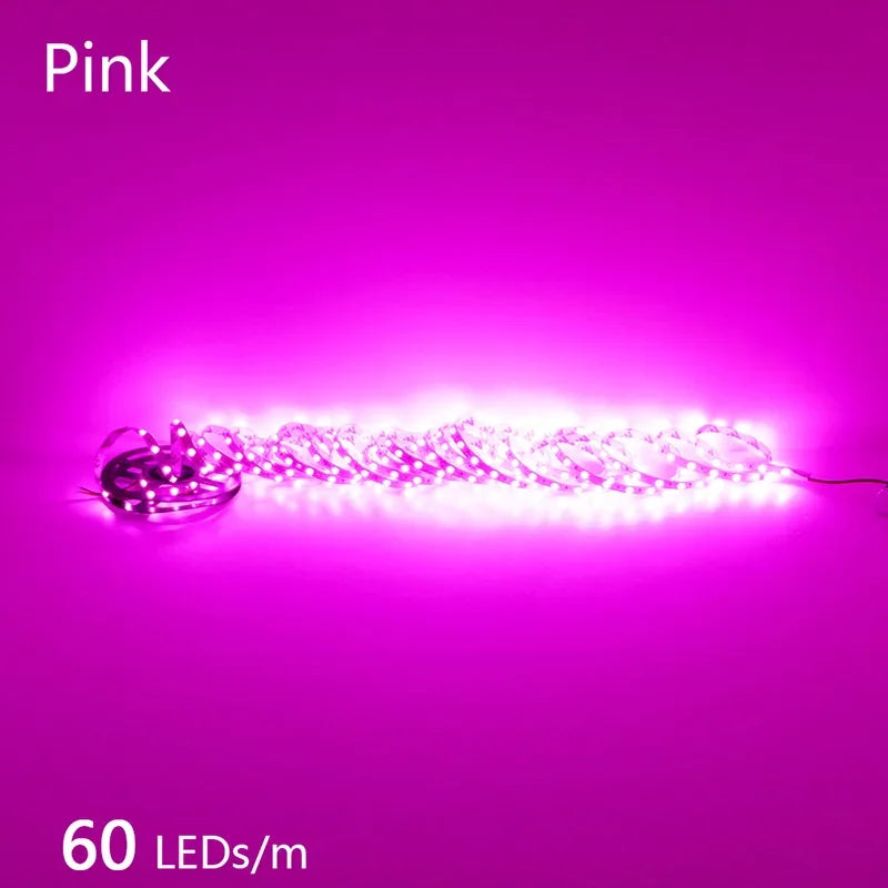 2835 LED Light Strip Flexible 12V/24V