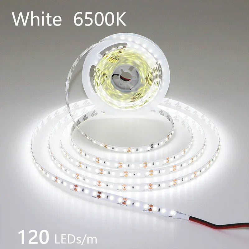 2835 LED Light Strip Flexible 12V/24V